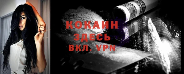 крисы Белокуриха