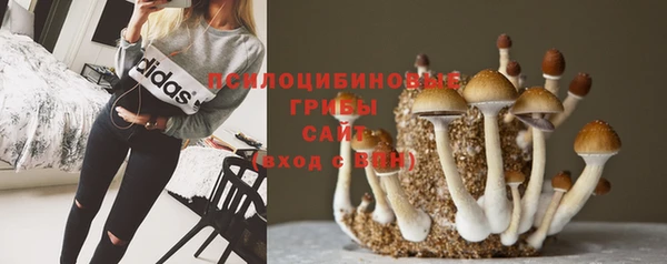 наркотики Беломорск