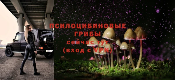гидропоника Белоозёрский