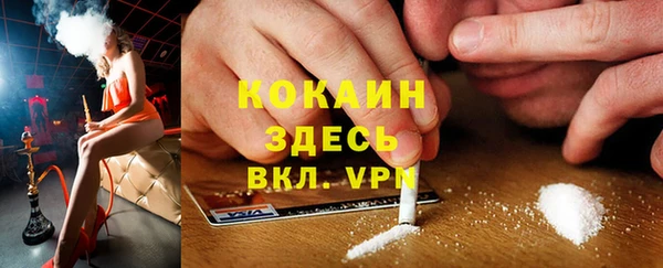 крисы Белокуриха