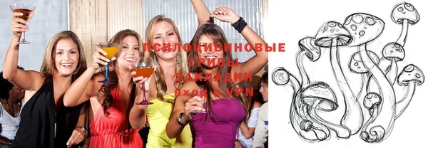 хмурый Усинск
